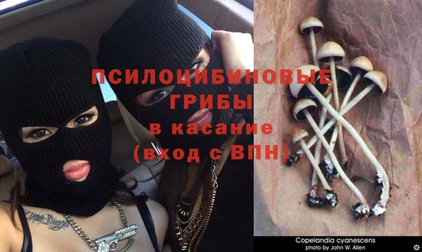 a pvp Балахна