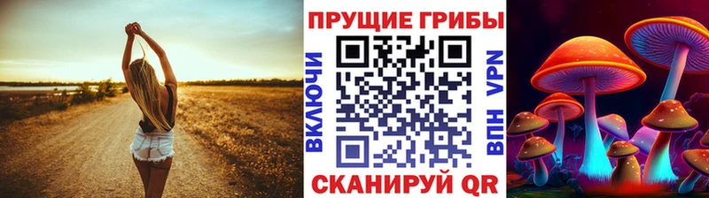 Псилоцибиновые грибы Psilocybine cubensis  Купить  Медынь 